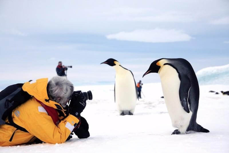 The emporer penguins of Antarctica's snow Hill Island