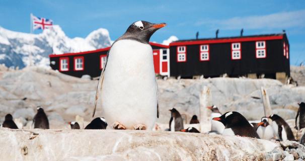 The Penguin Post Office