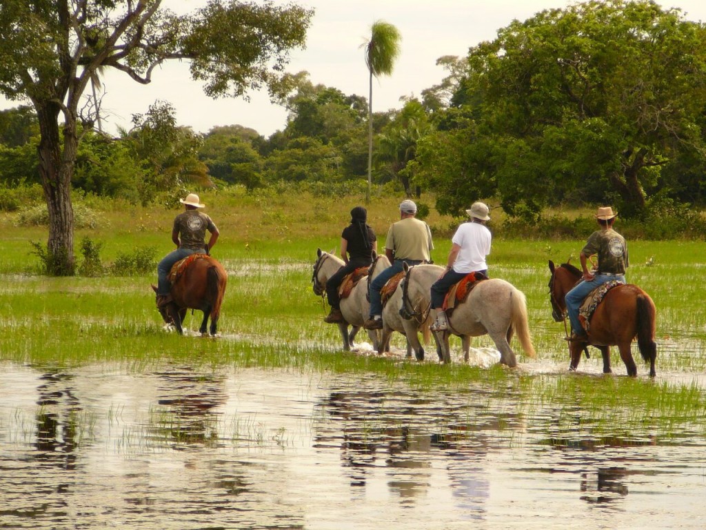 horseriding