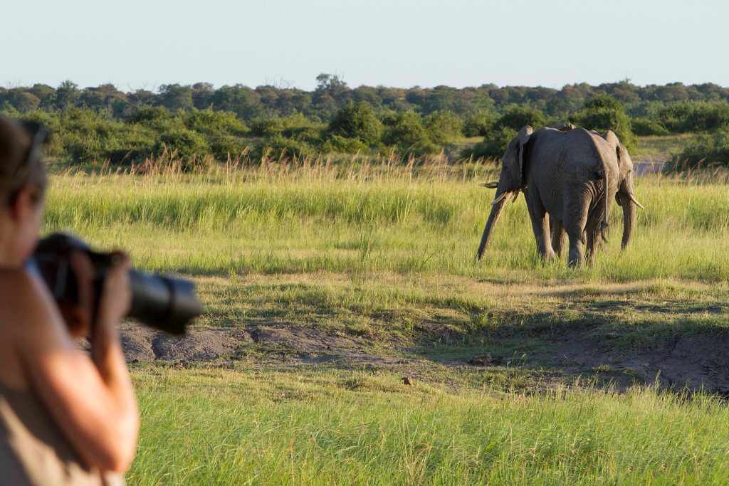 The green season offers a more intimate wildlife experience.