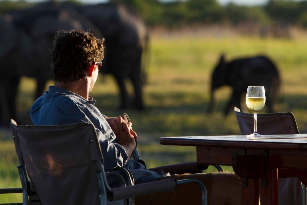 Green season and a young elephant in botswana
