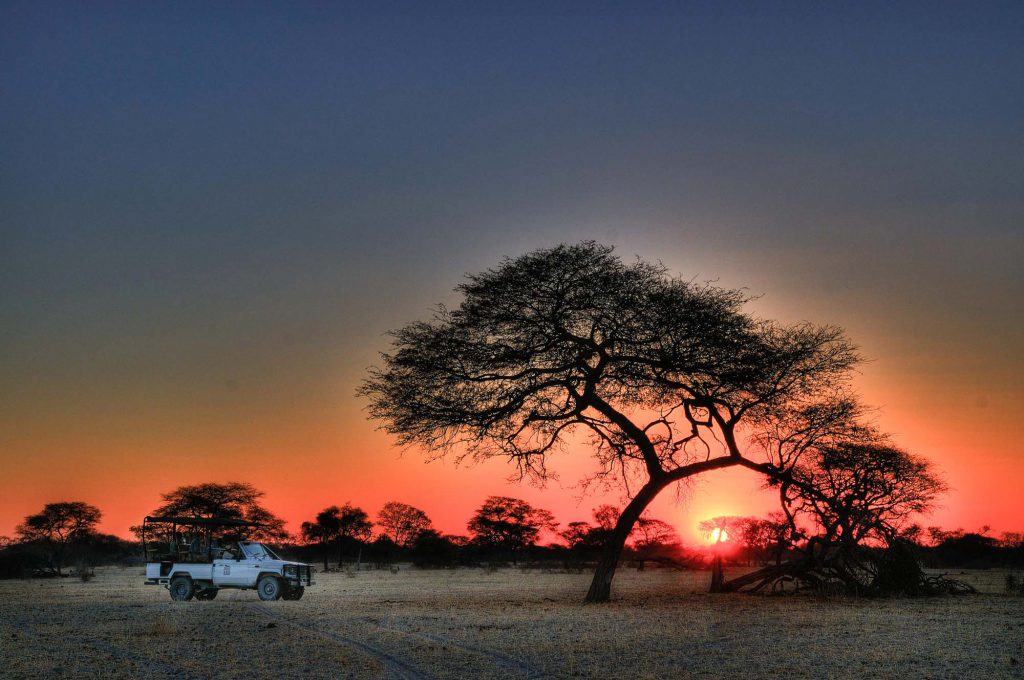 A classic african safari sunset