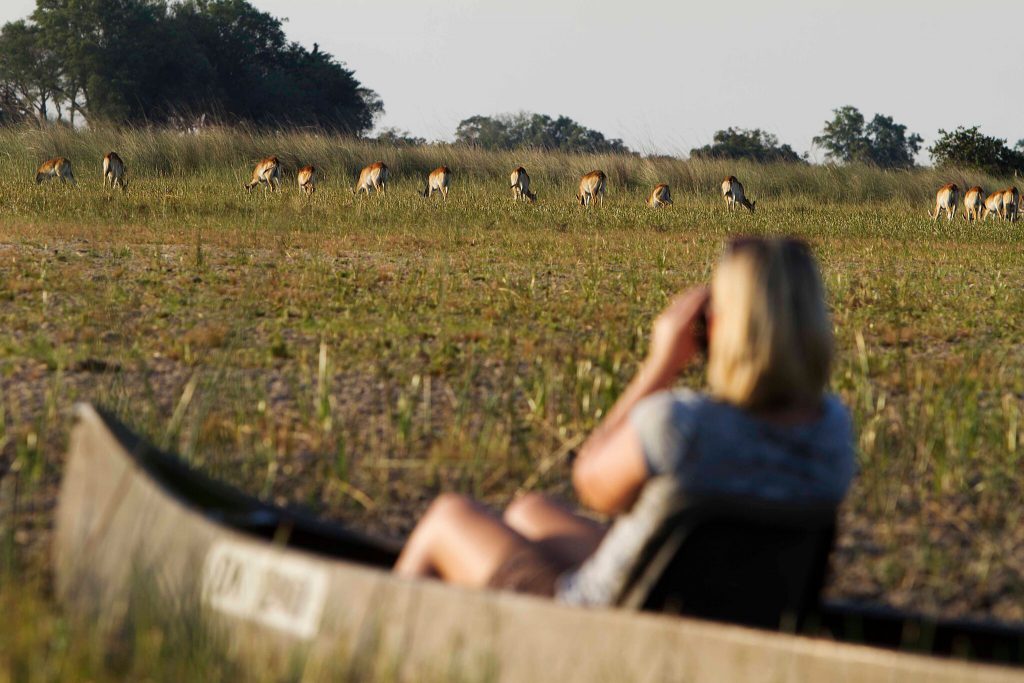 Botwana's wildlife are best seen in the green season