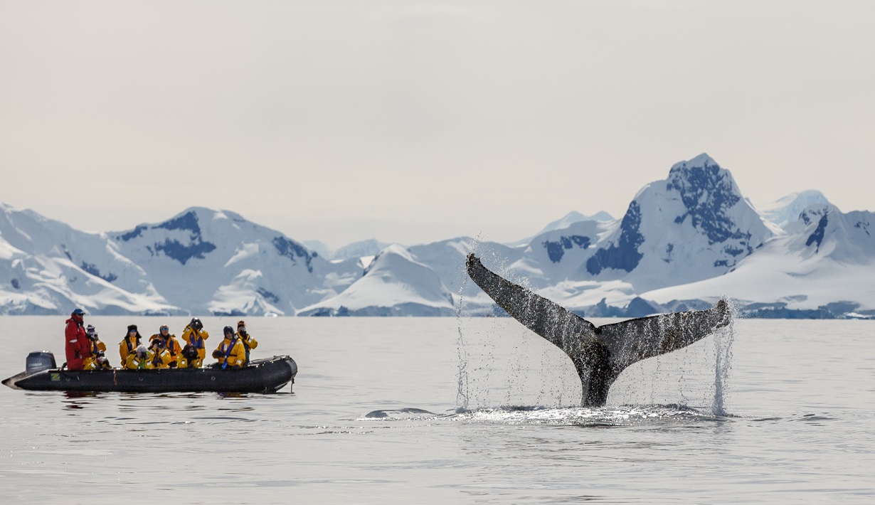 antarctic explorer drake passage