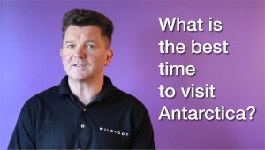 The Best tIme To Visit Antarctica