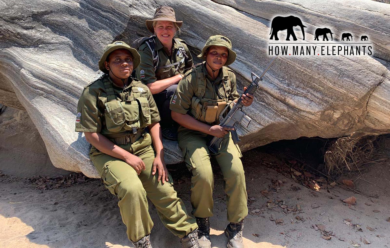 Holly Budge - How Many Elephants