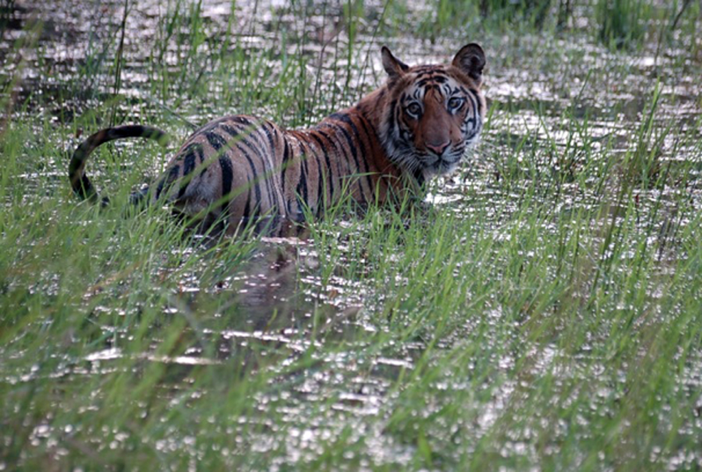 andhavgarh National Park