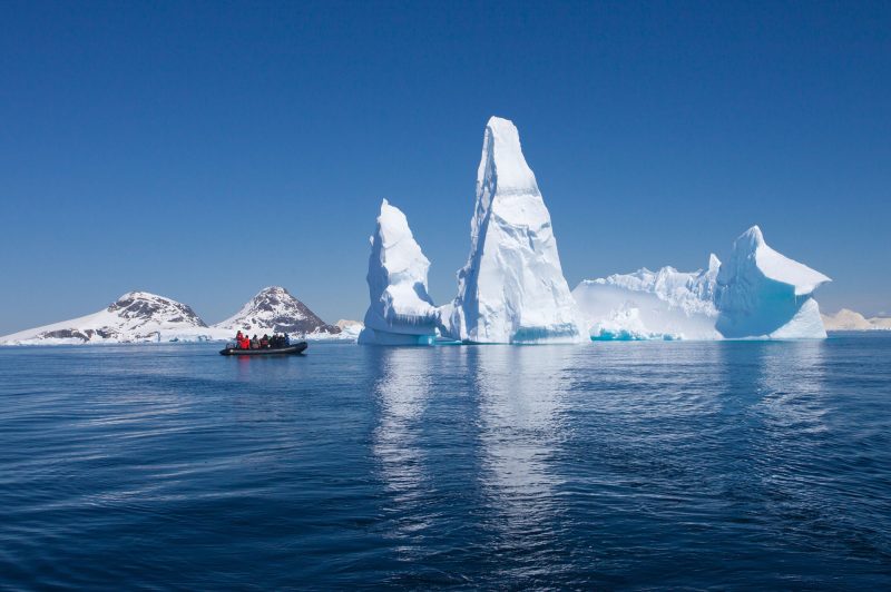 Spotting wildlife in Antarctica